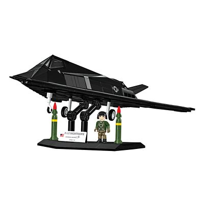 Image showing  Armed Forces F-117 Nighthawk Aircraft