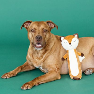 Image showing  For Fox Sake Plush Dog Toy
