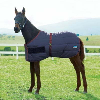 Image showing  420D Foal Standard Neck Medium