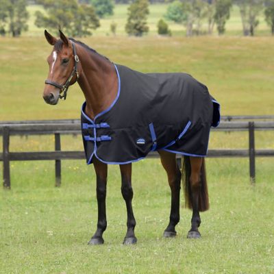 Image showing  ComFiTec Tyro Turnout Standard Neck 220G