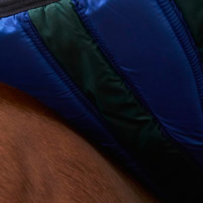 Image showing  ComFiTec Plus Dynamic Turnout 220G