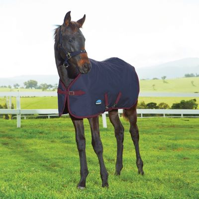 Image showing  1200D Foal Standard Neck 220G