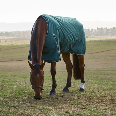 Image showing  ComFiTec Classic Turnout 220G