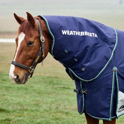 Image showing 2 th WeatherBeeta ComFiTec Plus Dynamic Turnout Detach-A-Neck 220G
