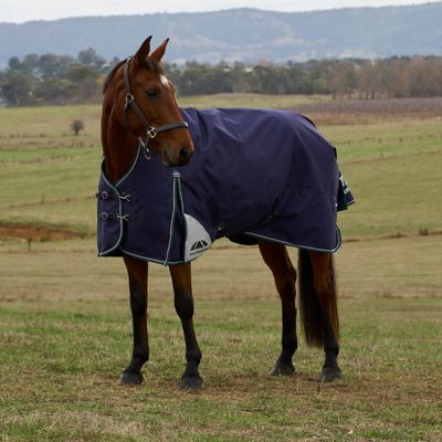 Image showing 1 th WeatherBeeta ComFiTec Plus Dynamic Turnout High Neck 220G