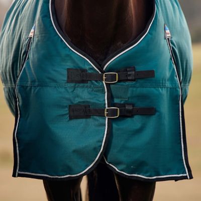 Image showing  ComFiTec Classic Turnout 0G