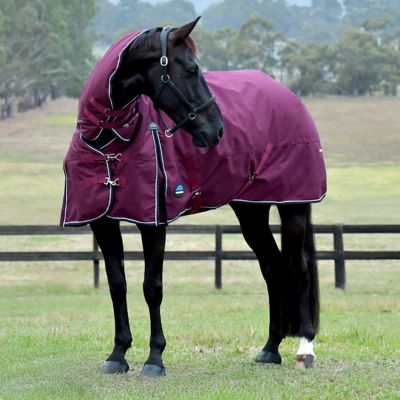 Image showing  ComFiTec Essential Turnout Combo 360G