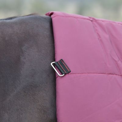 Image showing  ComFiTec Essential Turnout Combo 360G