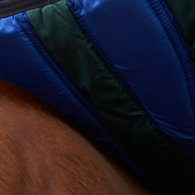 Image showing  ComFiTec Plus Dynamic Turnout 100G