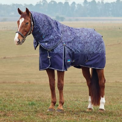 Image showing 9 th WeatherBeeta ComFiTec Limited Edition Turnout Detach-A-Neck 220G