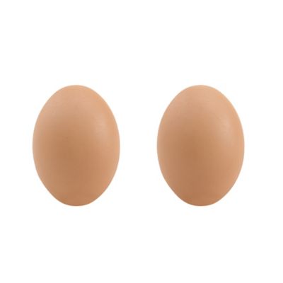 Producer's Pride Mixed Breed Wooden Hatching Eggs, Brown, 2 ct.