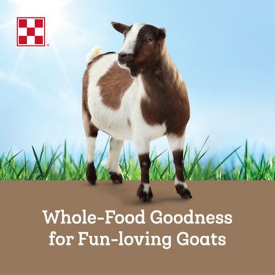 Image showing  Farm to Flock Goat 16%