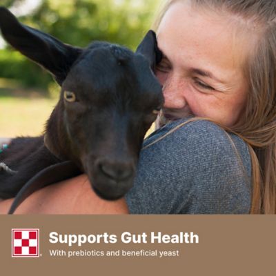 Image showing 5 th Purina Farm to Flock Goat 16%