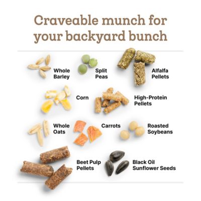 Image showing 7 th Purina Farm to Flock Goat 16%