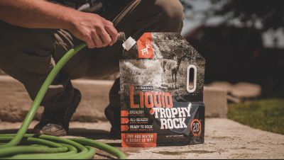 Image showing  Liquid Trophy Rock