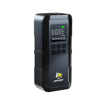 Image showing  Portable Air Pump