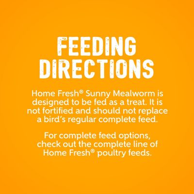 Image showing  Home Fresh Sunny Mealworm