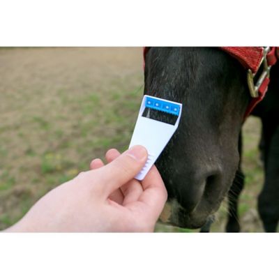 Image showing  Muzzle Shaver, 6 pk.