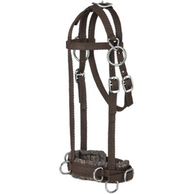 Tough1 Miniature Nylon Training Cavesson