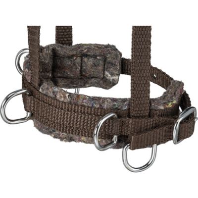 Image showing  Miniature Nylon Training Cavesson