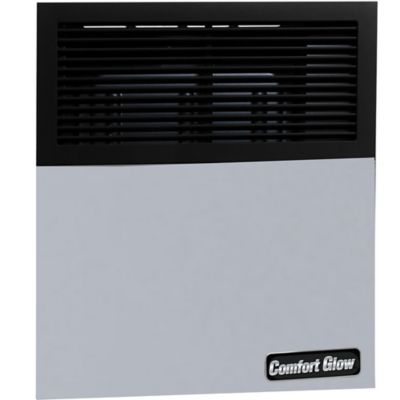 Image showing  Dual Fuel Direct Vent Gas Heater