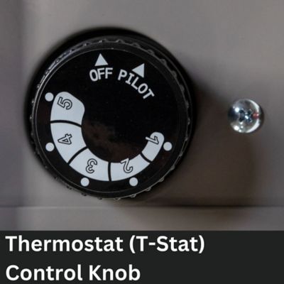 Image showing  Dual Fuel Direct Vent Gas Heater