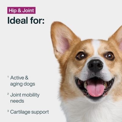 Image showing  JustFresh Boost Hip & Joint