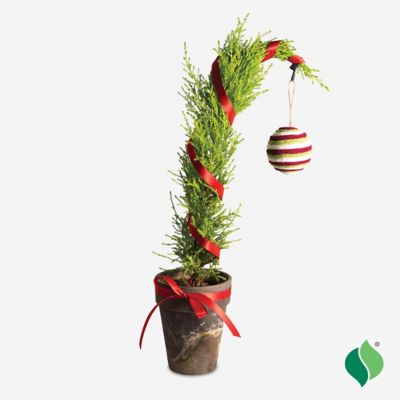 Image showing Merry Misfit Tree Kit (DIY)