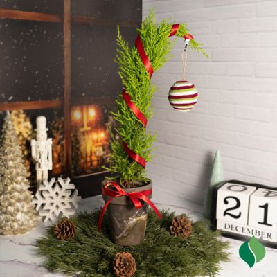 Image showing Merry Misfit Tree Kit (DIY)