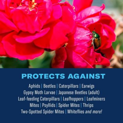 Image showing  3 In 1 Insect, Disease and Plant Mite Control I Ready to Spray