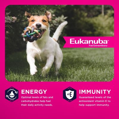 Image showing 3 th Eukanuba Adult Medium Breed Small Bites Chicken Dry Dog Food