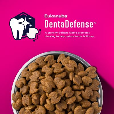 Image showing 4 th Eukanuba Adult Medium Breed Small Bites Chicken Dry Dog Food