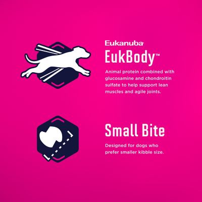 Image showing 5 th Eukanuba Adult Medium Breed Small Bites Chicken Dry Dog Food