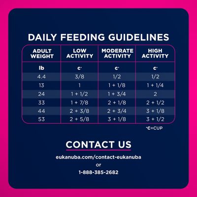 Image showing 7 th Eukanuba Adult Medium Breed Small Bites Chicken Dry Dog Food