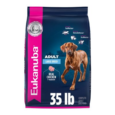Image showing  Adult Large Breed Chicken Dry Dog Food