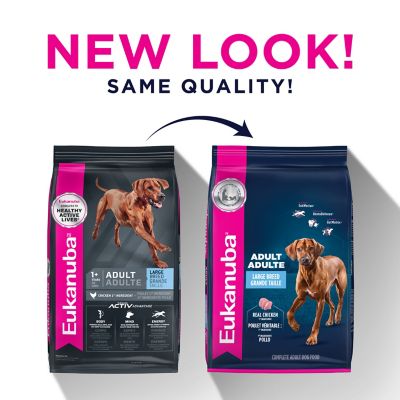 Image showing  Adult Large Breed Chicken Dry Dog Food