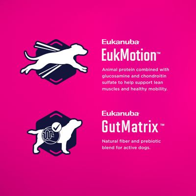 Image showing  Adult Large Breed Chicken Dry Dog Food