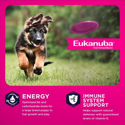 Image showing 2 th Eukanuba Puppy Large Breed Chicken Formula Dry Dog Food
