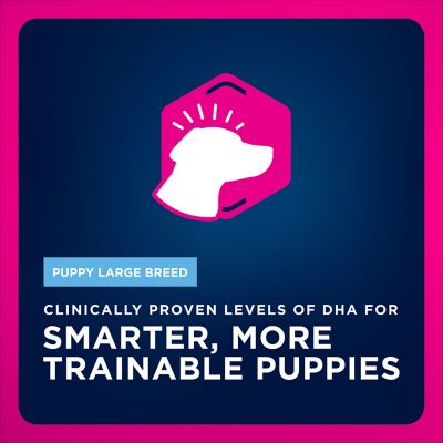 Image showing 3 th Eukanuba Puppy Large Breed Chicken Formula Dry Dog Food