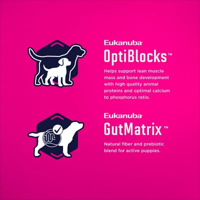 Image showing 4 th Eukanuba Puppy Large Breed Chicken Formula Dry Dog Food