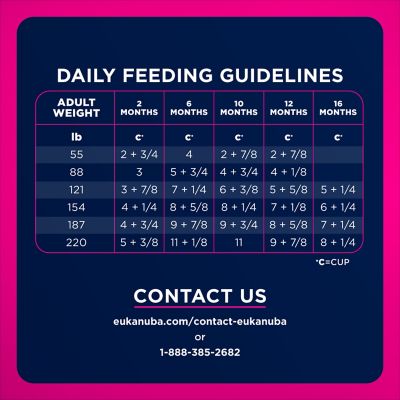 Image showing 6 th Eukanuba Puppy Large Breed Chicken Formula Dry Dog Food