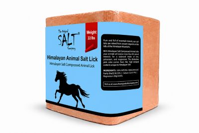 Image showing  Compressed Salt lick 22 lb.