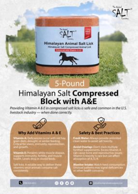 Image showing  Comp Salt Lick, 5 lb.