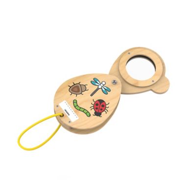 Stanley Wood magnifying Glass Kit