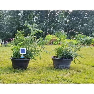 Image showing  GroStik Plant and Soil Energizer