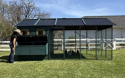 Image showing  Modern Ultraguard XL Metal Framed Chicken Coop, Teal