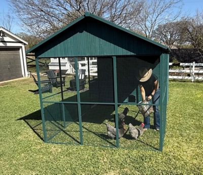 Image showing 5 th Zylina Modern Ultraguard XL Metal Framed Chicken Coop, Teal