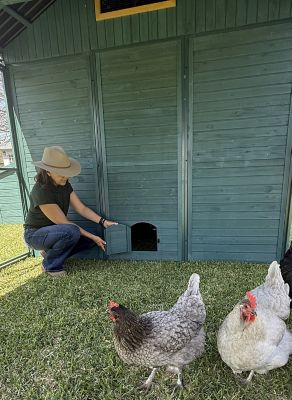 Image showing 7 th Zylina Modern Ultraguard XL Metal Framed Chicken Coop, Teal