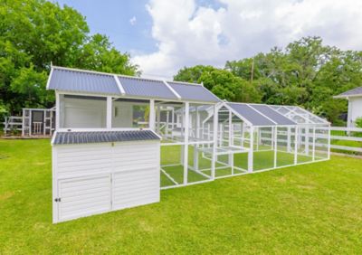 Image showing  Modern Countryside Chicken Coop With Poultry Pen & Coop Connection