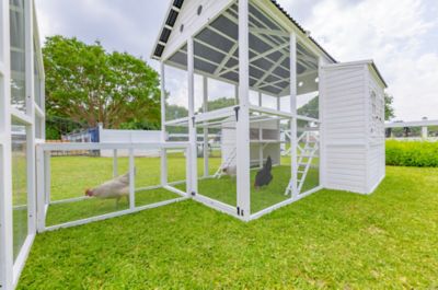 Image showing  Modern Countryside Chicken Coop With Poultry Pen & Coop Connection